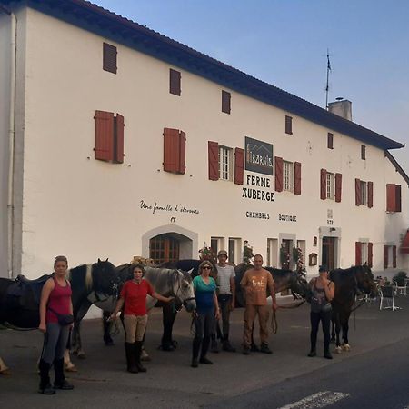 Ferme Auberge Ibarnia Lecumberry Exteriér fotografie